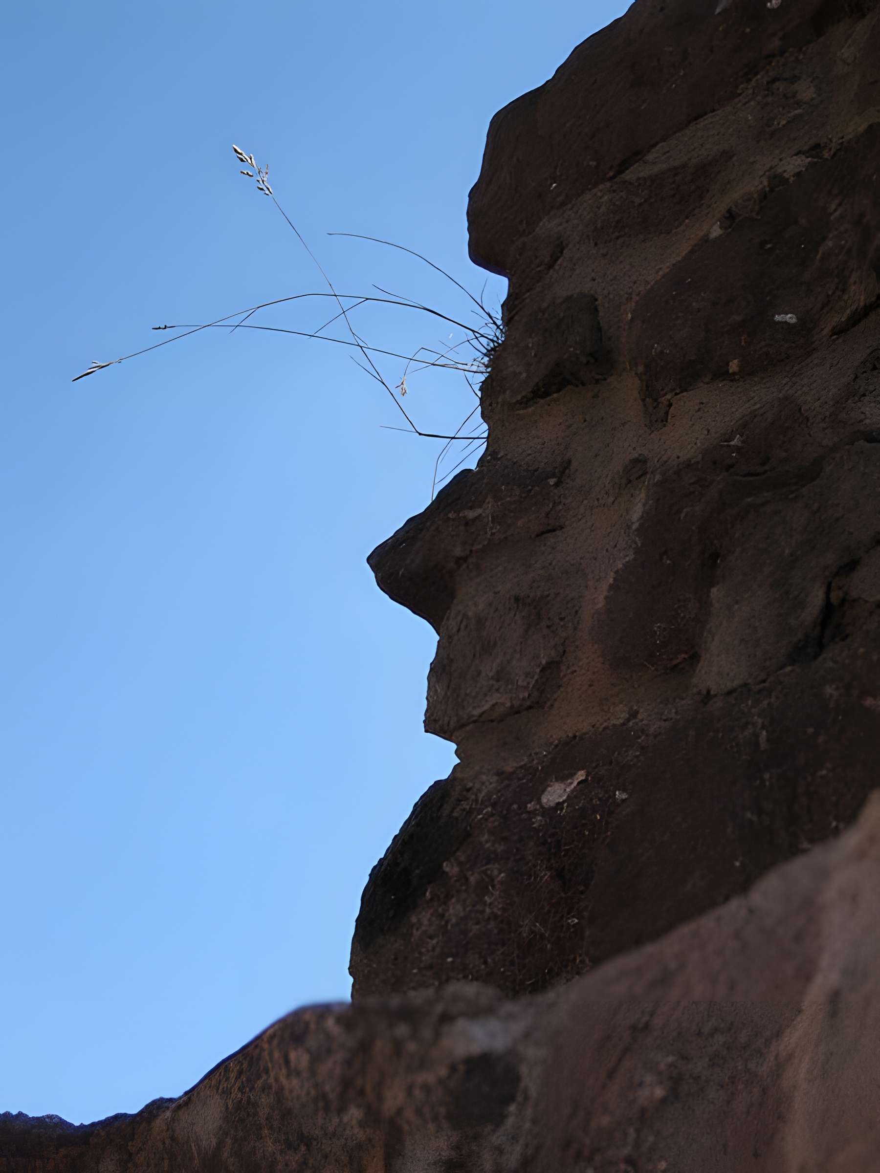 Château de Wangenbourg