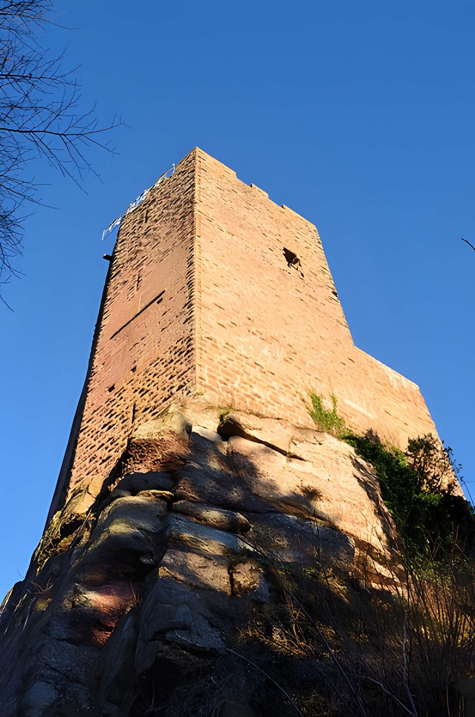 Château de Wangenbourg