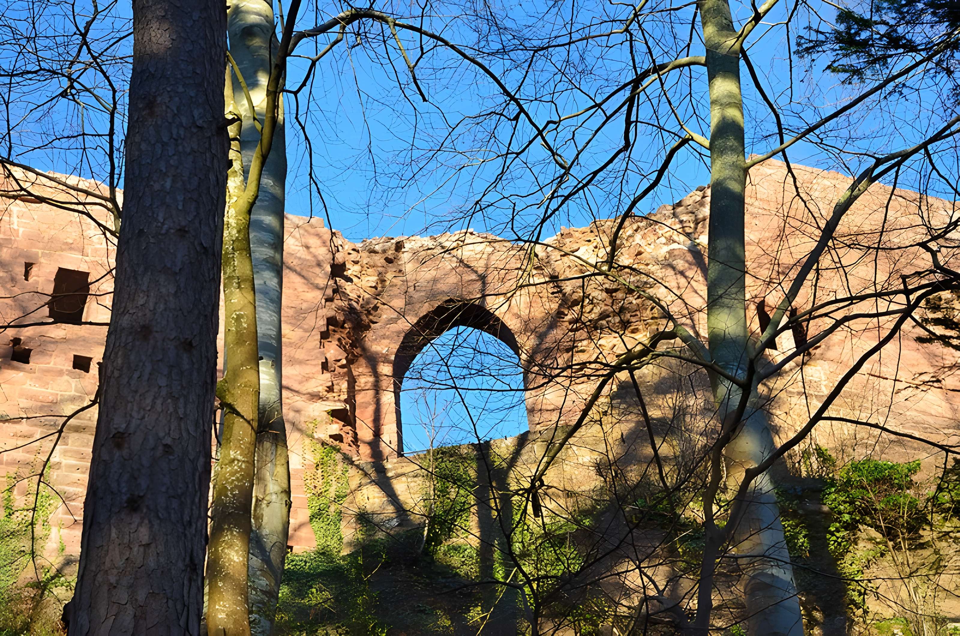 Château de Wangenbourg