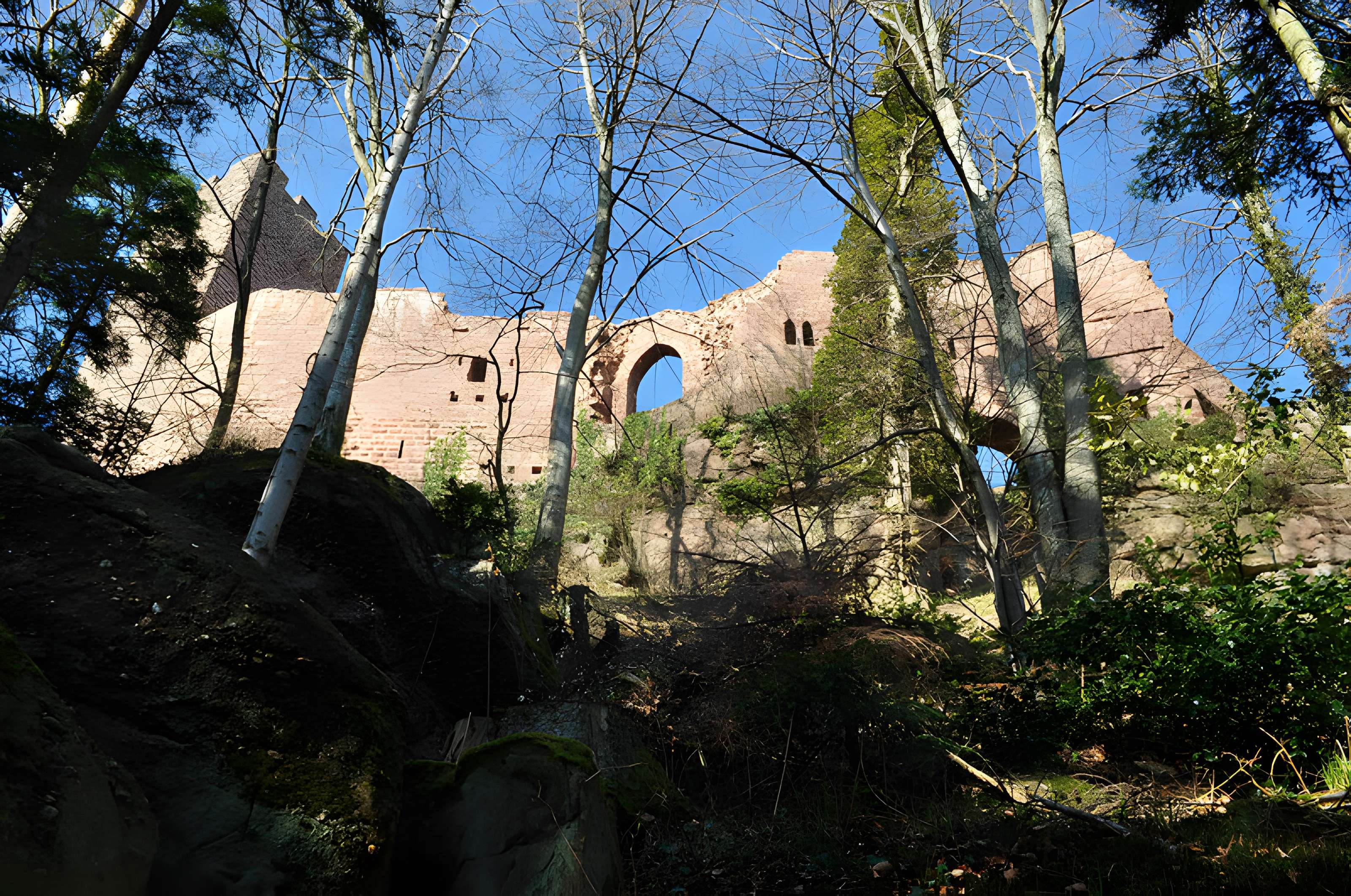 Château de Wangenbourg
