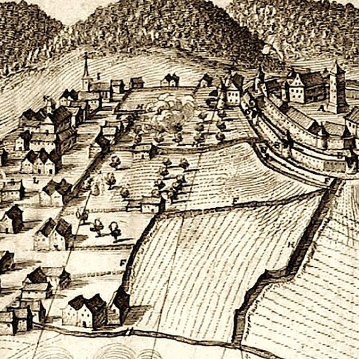 Photo de Château de Wasselonne