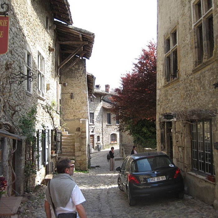 Photo de Maison Gerlier et remparts qui en dépendent