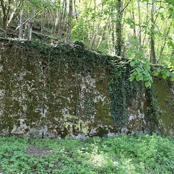 Maison Gerlier et remparts qui en dépendent