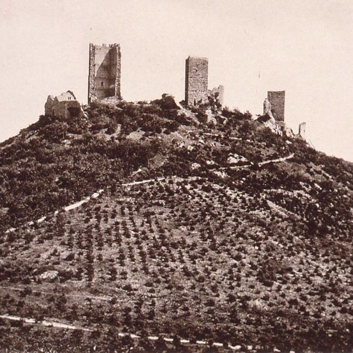 Photo de Ruines des châteaux de Weckmund et de Wahlenbourg