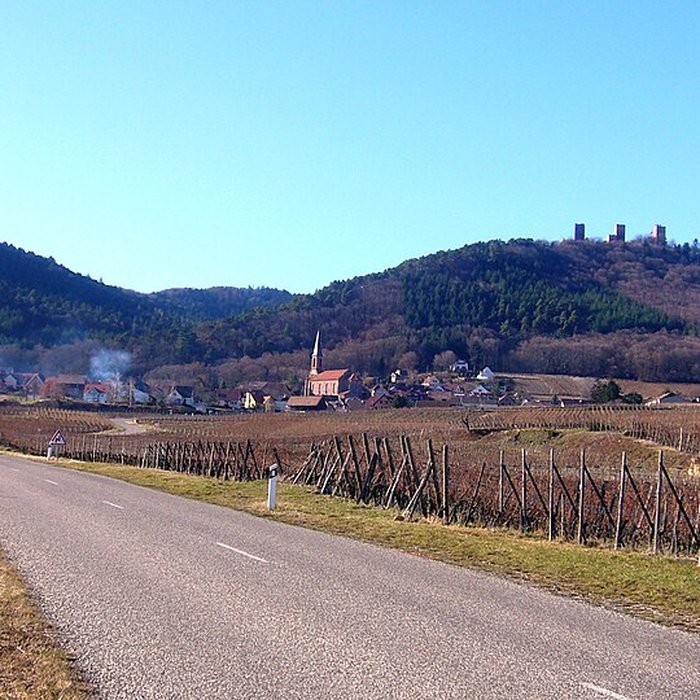 Photo de Ruines des châteaux de Weckmund et de Wahlenbourg