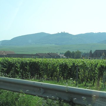 Ruines des châteaux de Weckmund et de Wahlenbourg