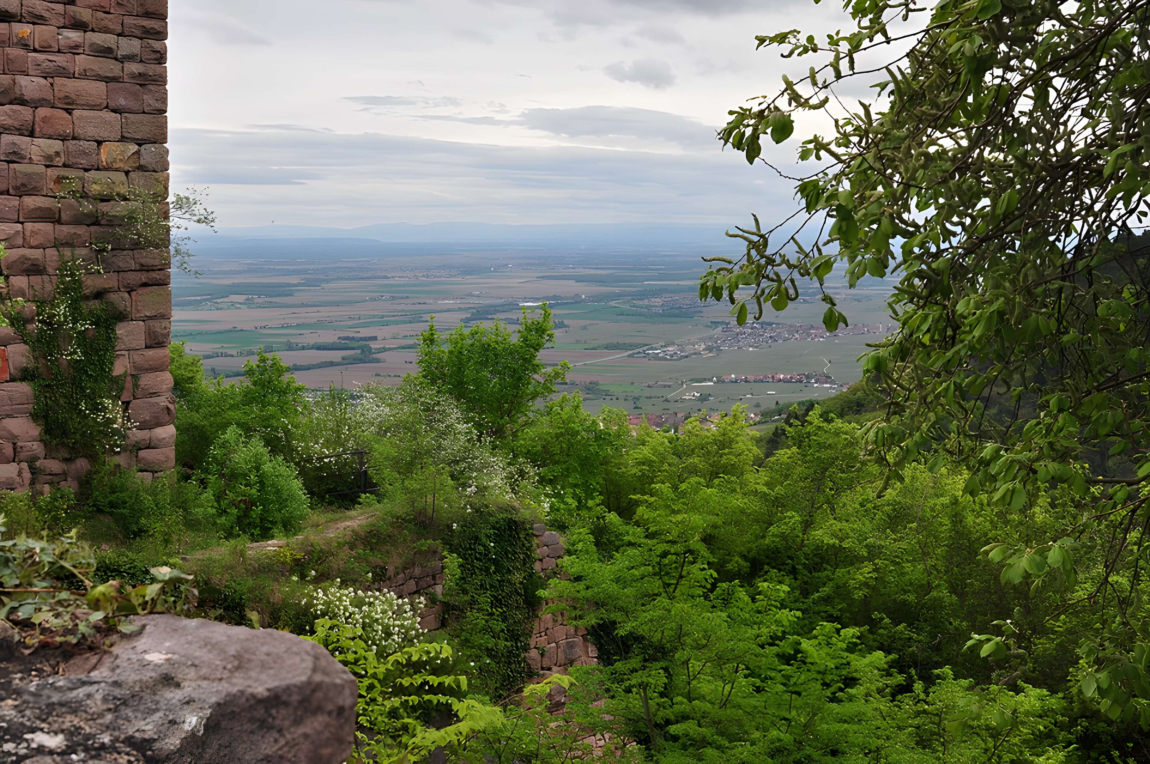 Ruines des châteaux de Weckmund et de Wahlenbourg