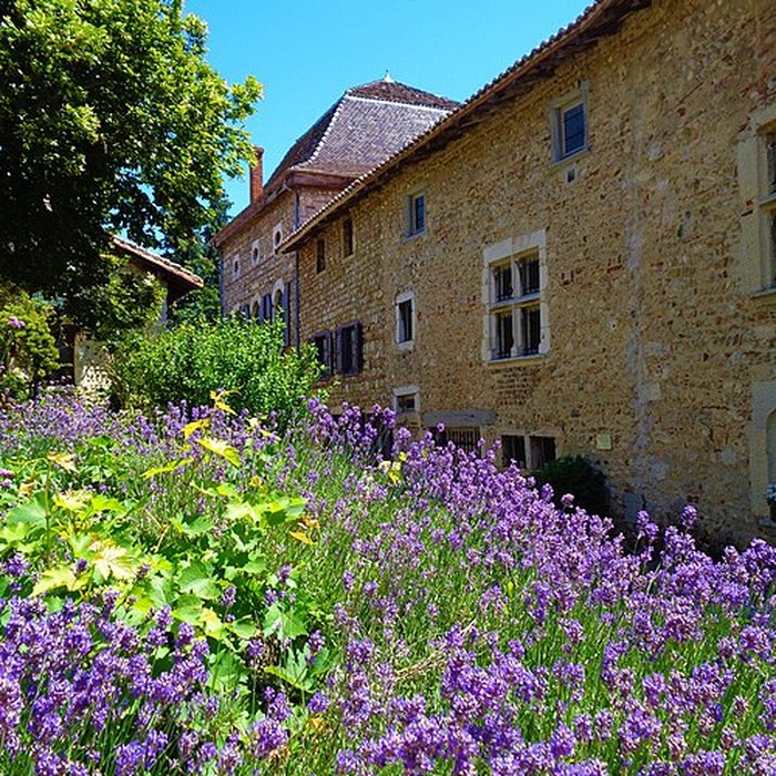Photo de Rempart attenant à des immeubles