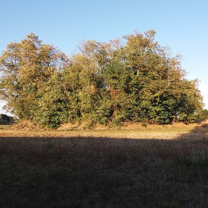 Photo de Motte castrale