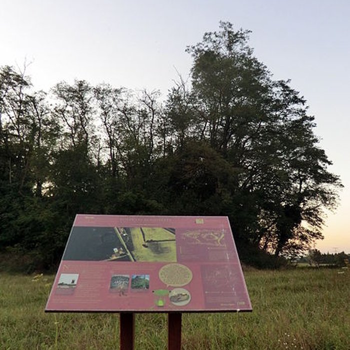 Photo de Motte castrale