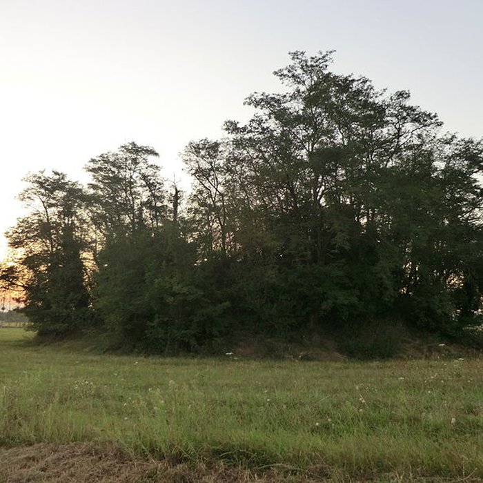 Photo de Motte castrale