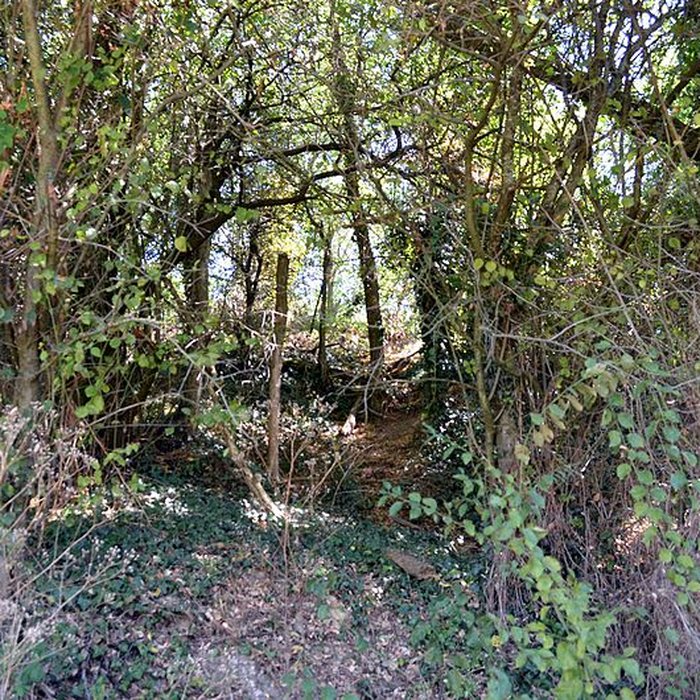 Photo de Motte castrale