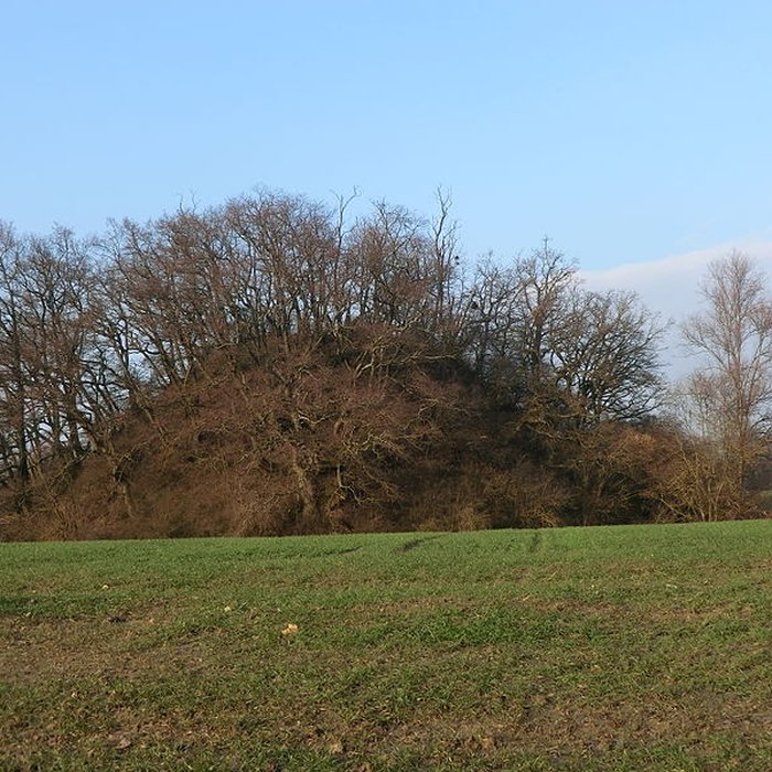 Photo de Motte castrale