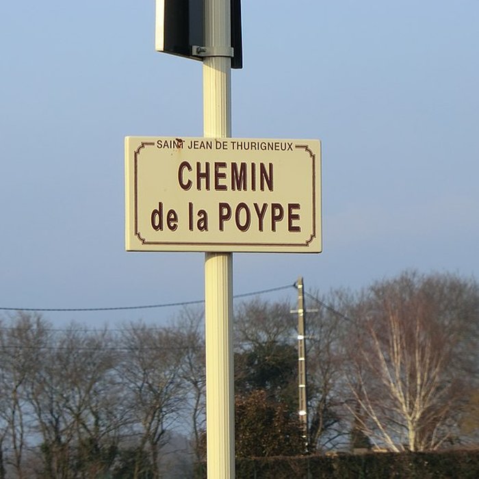 Photo de Motte castrale