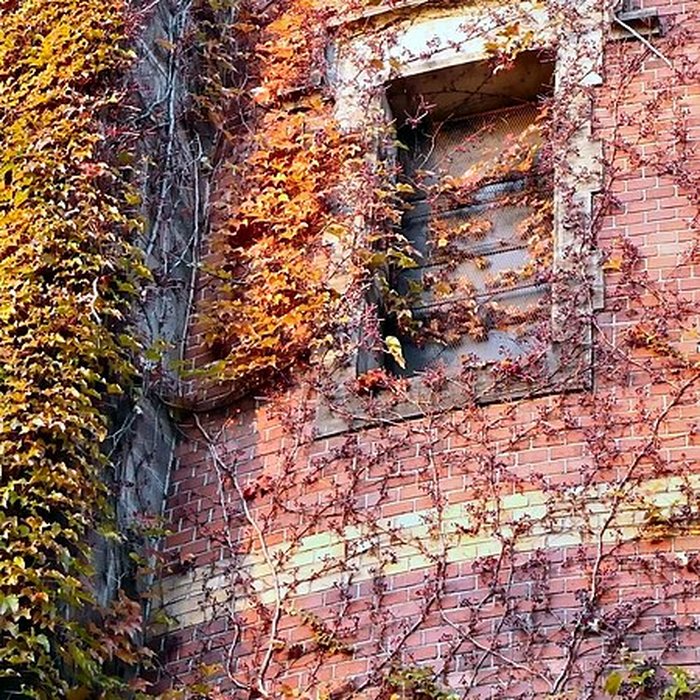 Photo de Château deau de Colmar