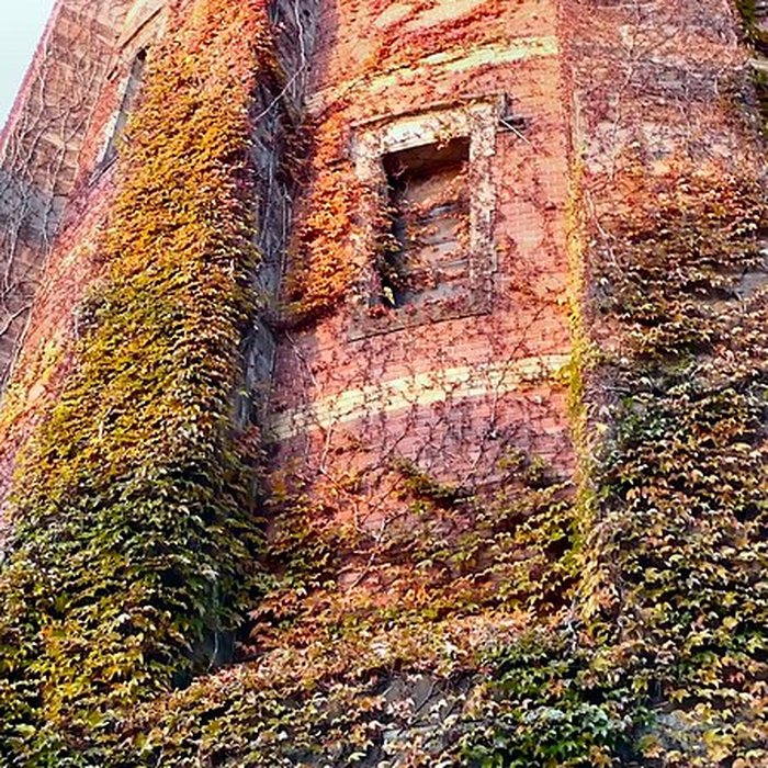 Photo de Château deau de Colmar