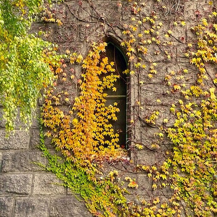 Photo de Château deau de Colmar