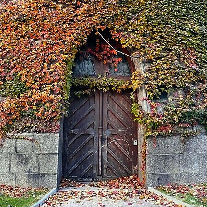 Photo de Château deau de Colmar