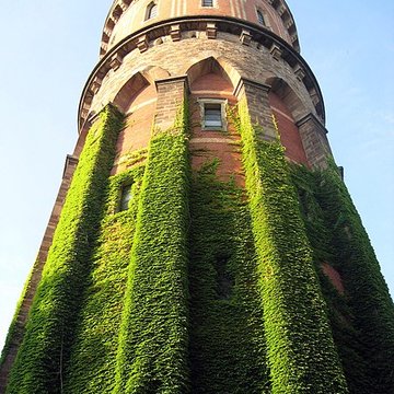 Château deau de Colmar