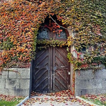 Château deau de Colmar