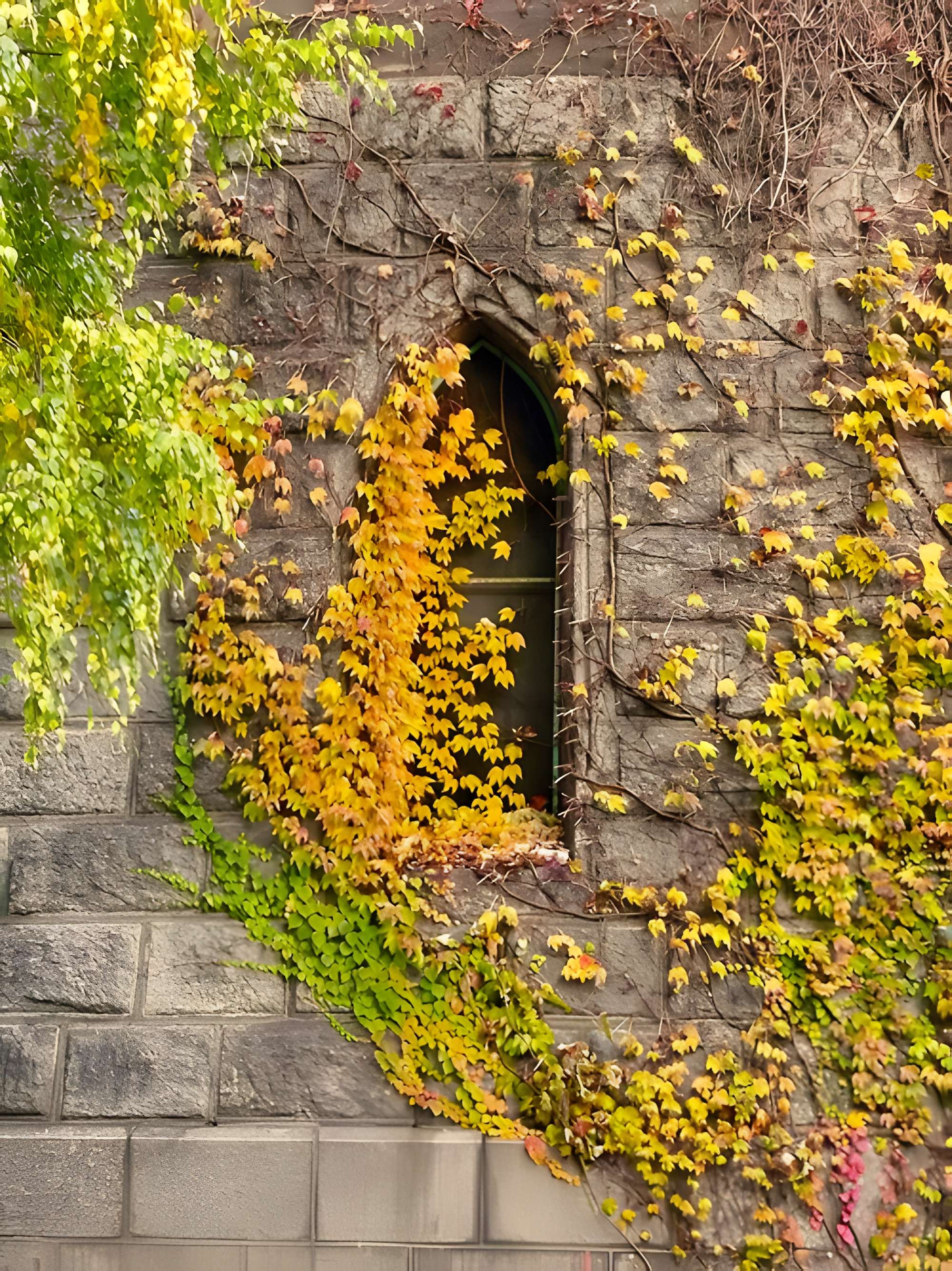 Château d'eau de Colmar