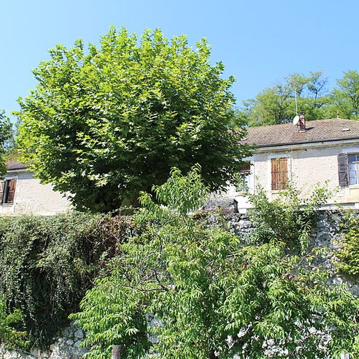 Photo de Grenier à sel