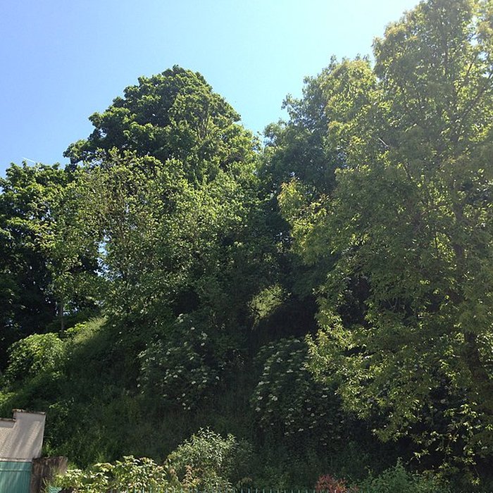 Photo de Motte féodale dite Poype de Villars