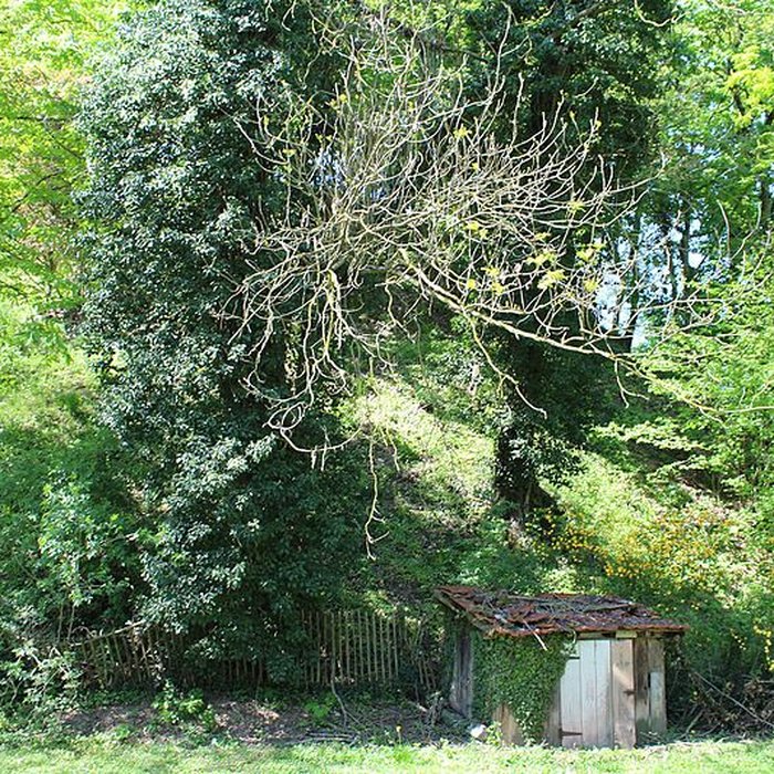 Photo de Motte féodale dite Poype de Villars