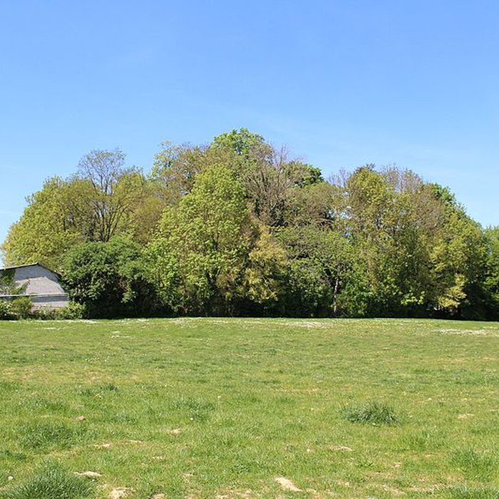 Photo de Motte féodale dite Poype de Villars