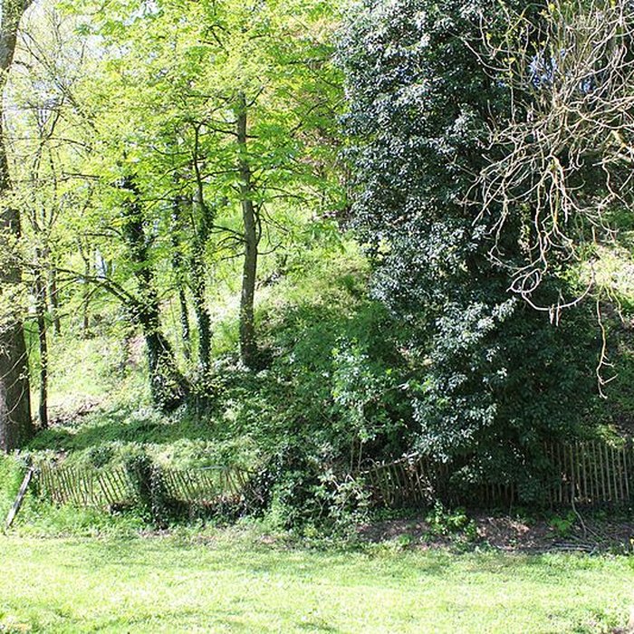 Photo de Motte féodale dite Poype de Villars