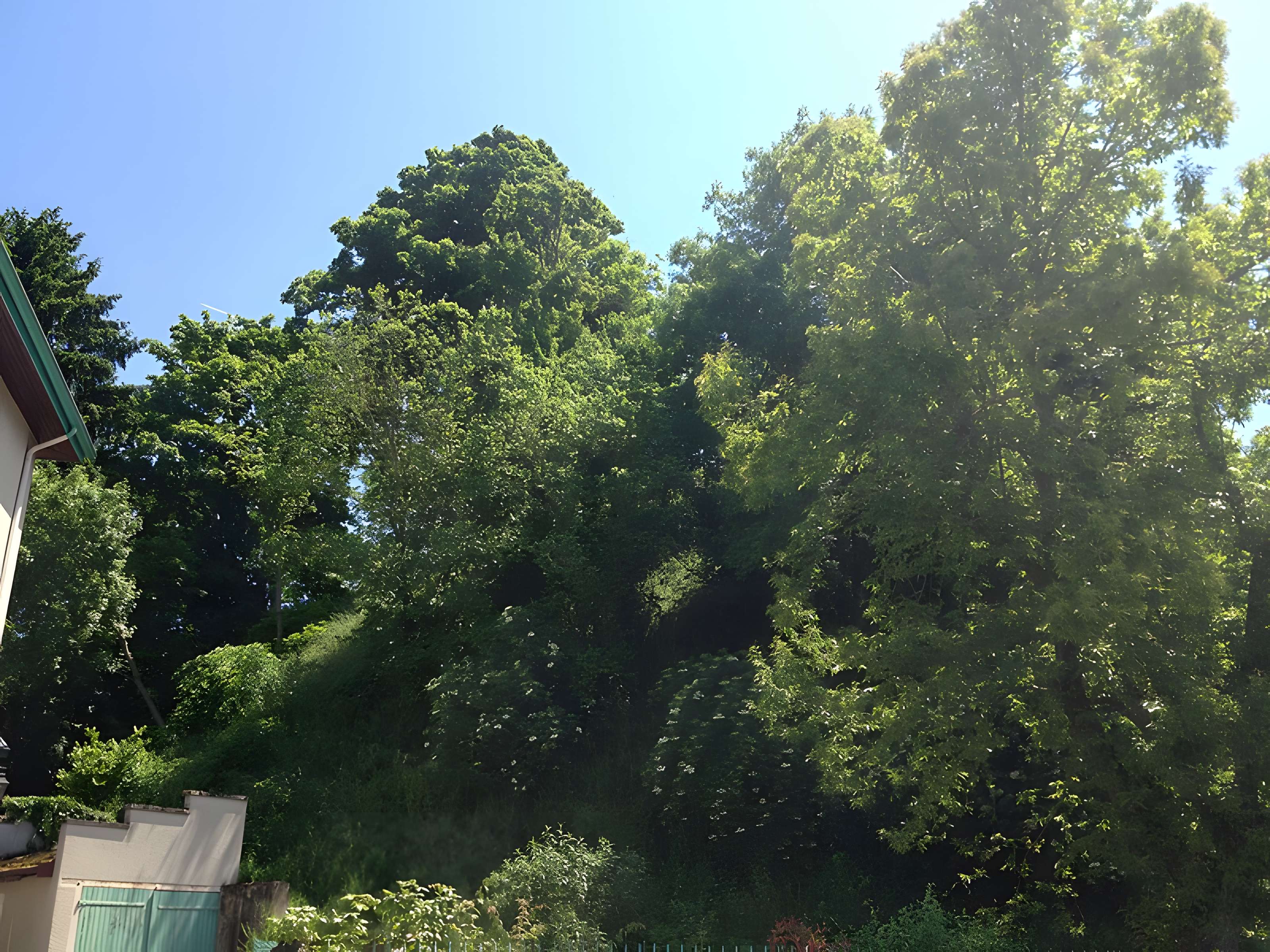 Motte féodale dite Poype de Villars