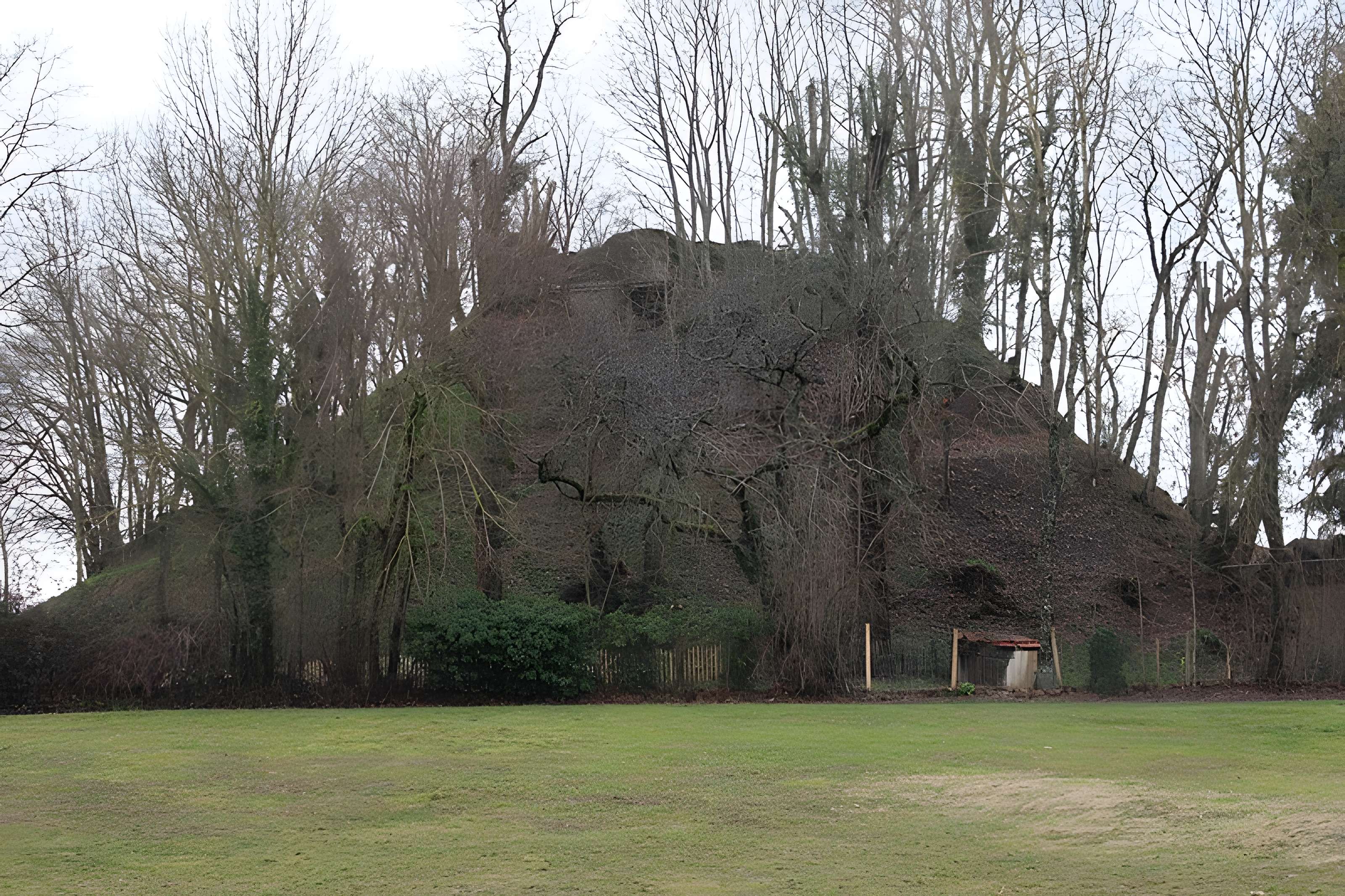 Motte féodale dite Poype de Villars