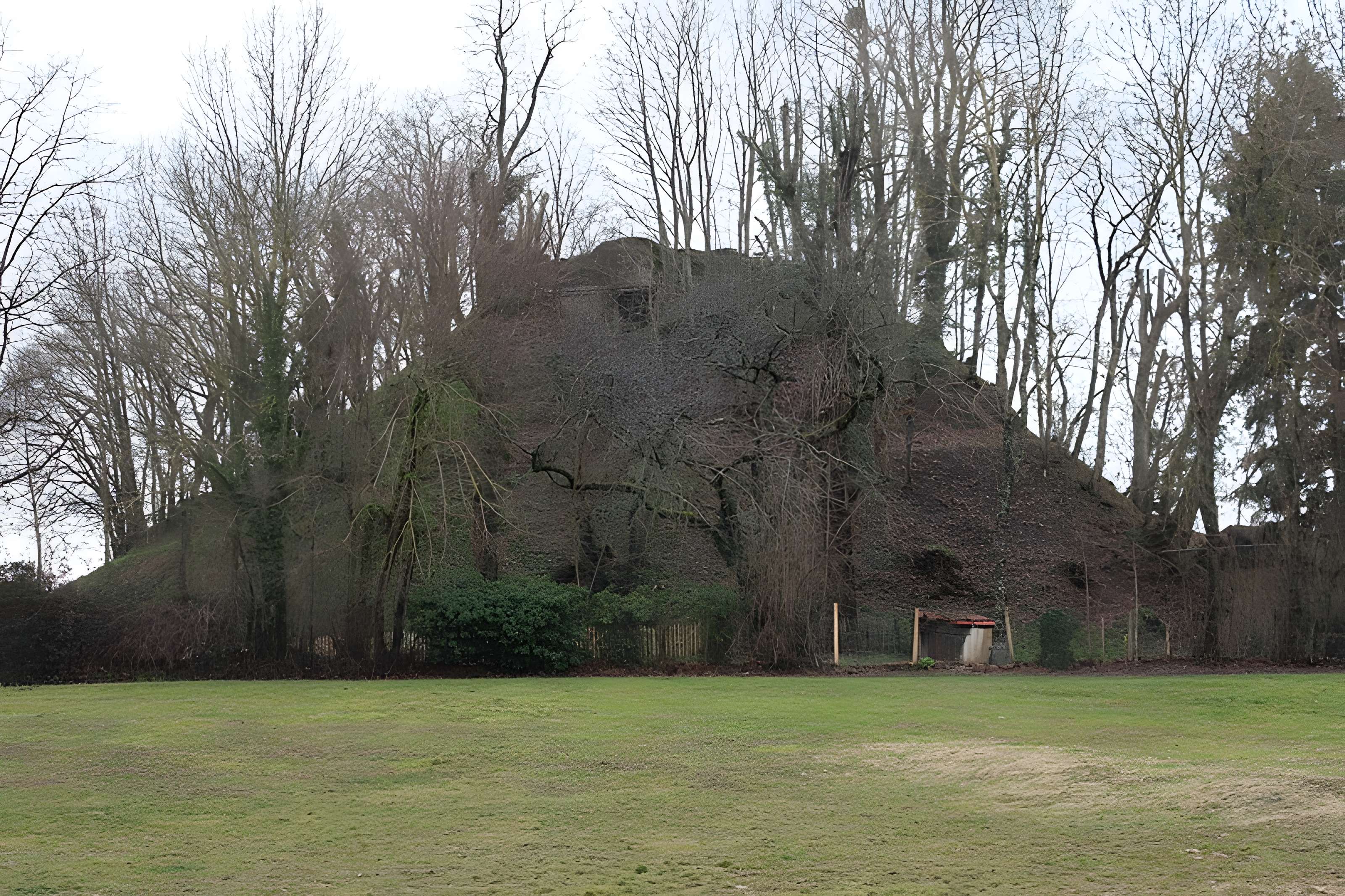 Motte féodale dite Poype de Villars