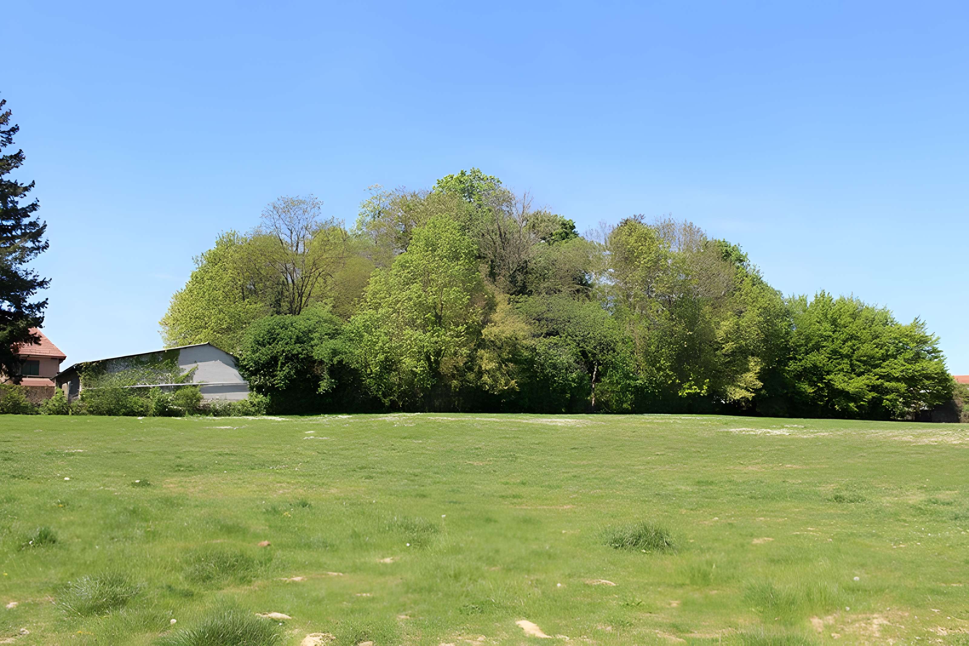 Motte féodale dite Poype de Villars