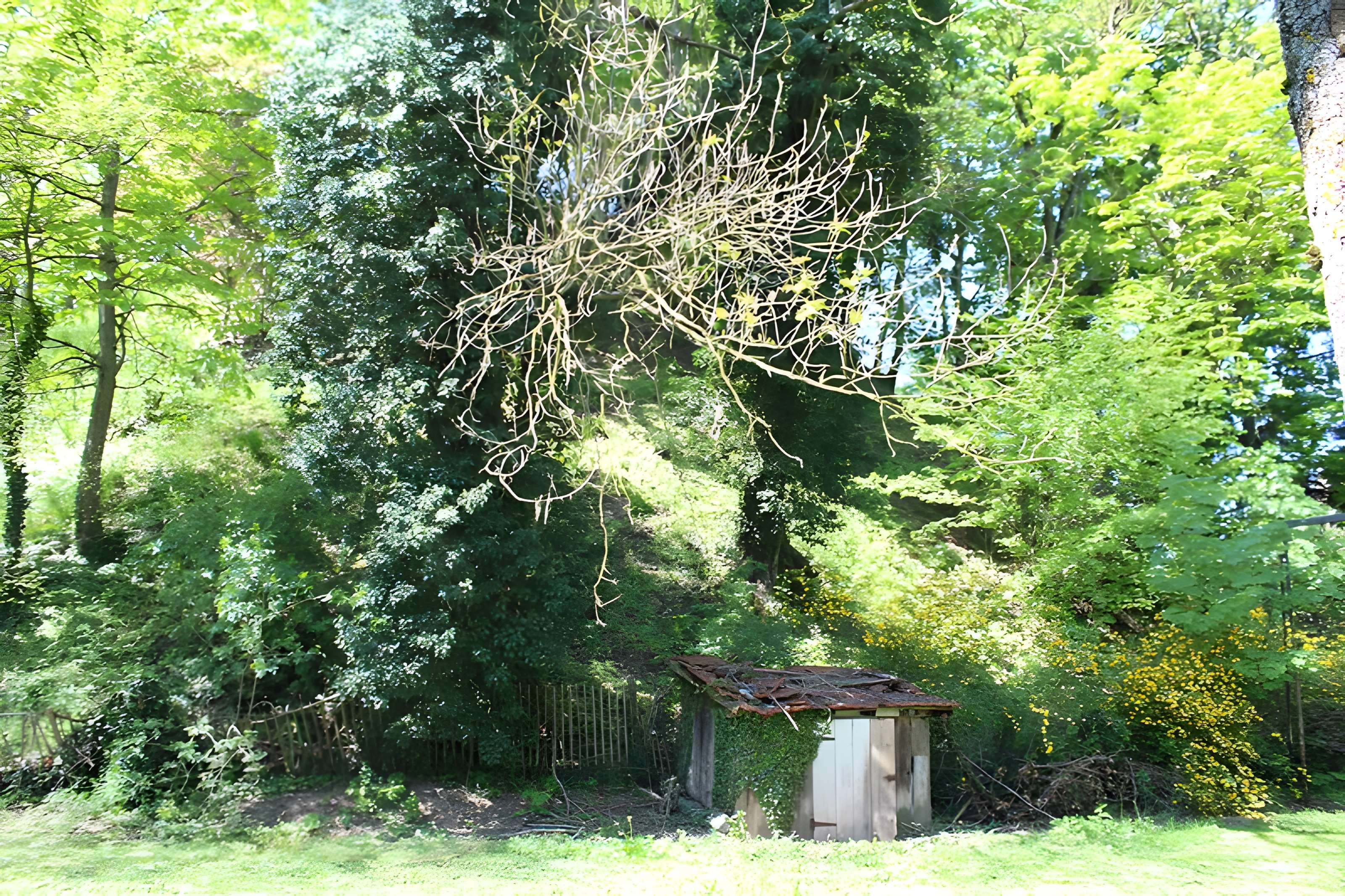 Motte féodale dite Poype de Villars