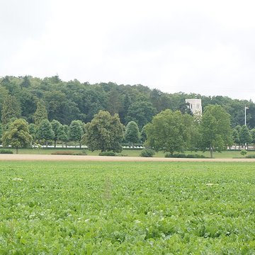 Mémorial Américain du Bois Belleau