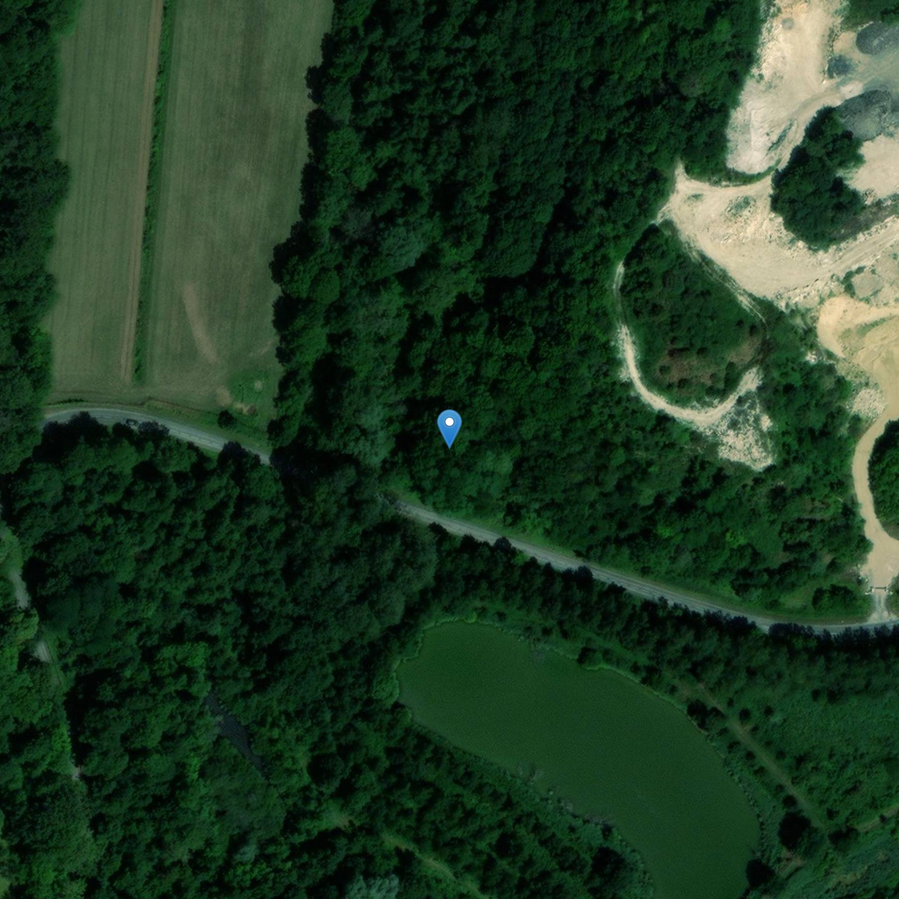 Photo de Deux polissoirs de la Pointe des Roches