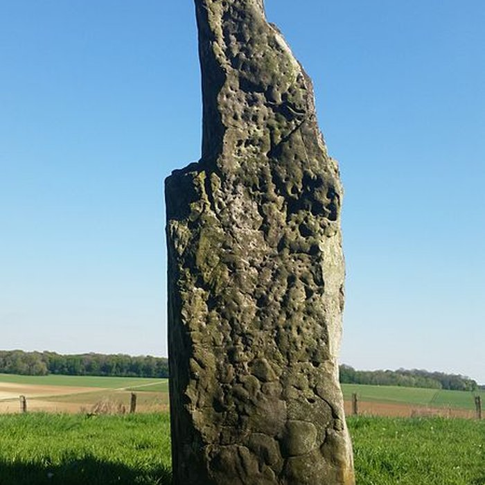 Photo de Menhir dit Le Verziau de Gargantua