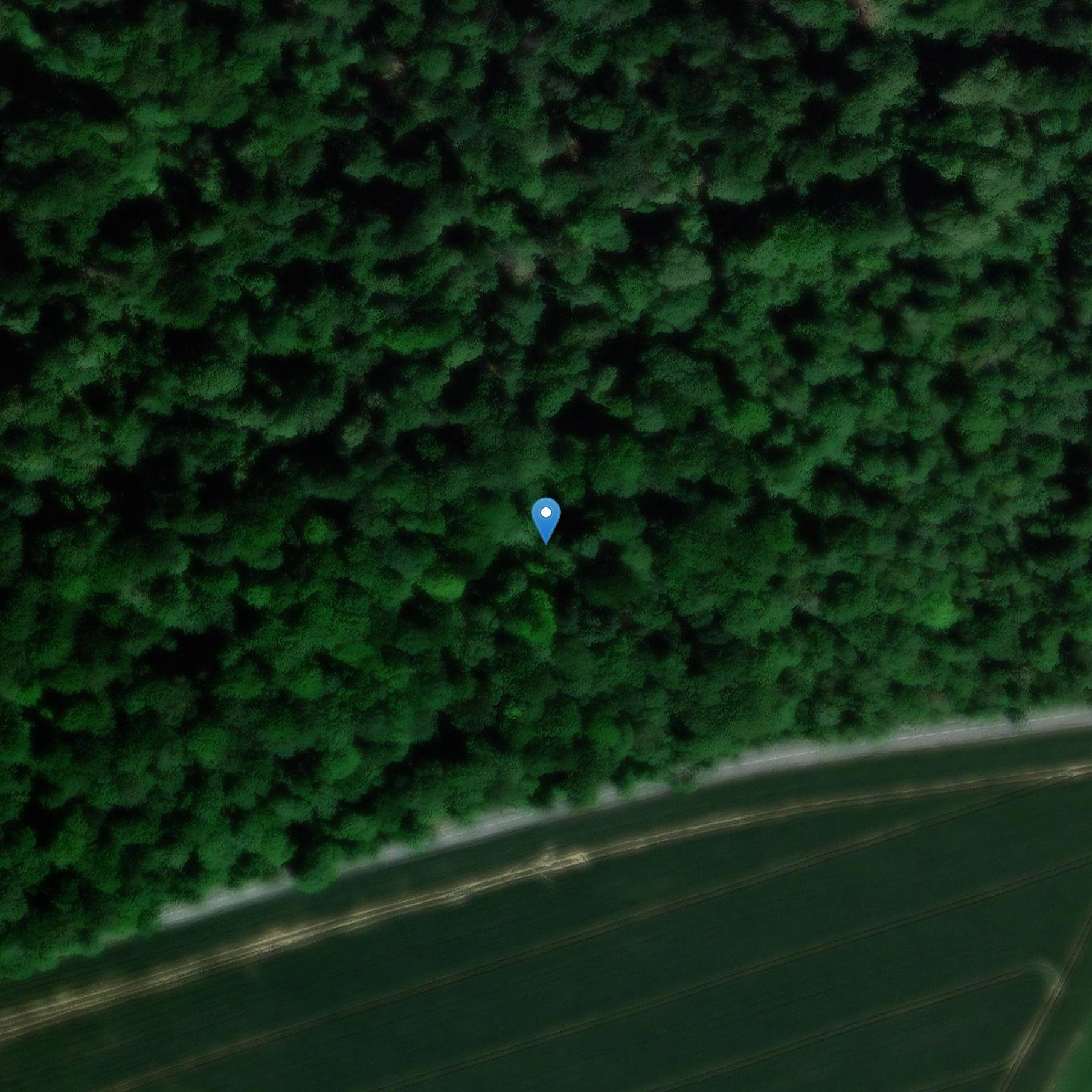 Photo de Trenchネットワーク