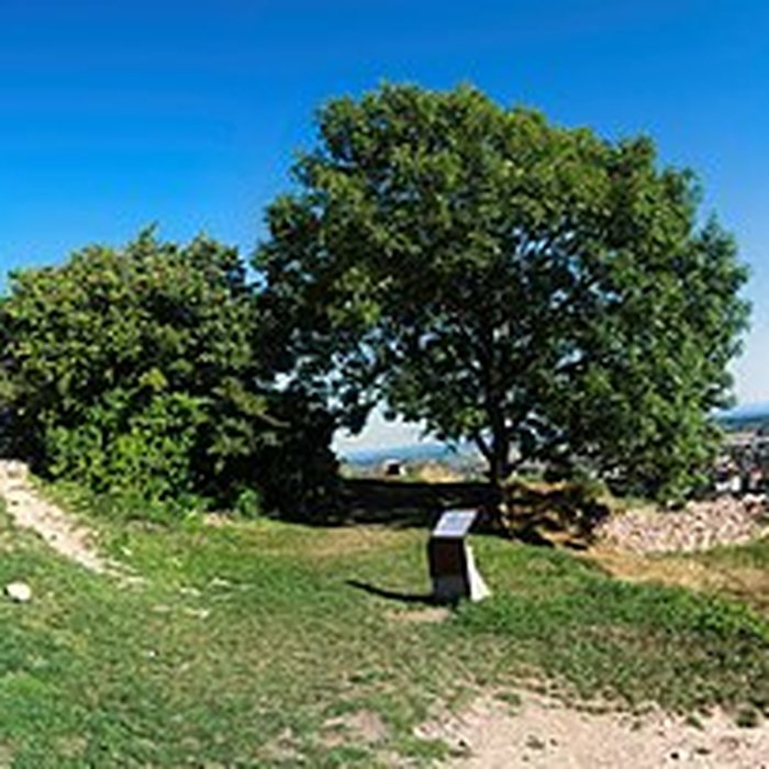Photo de Château dEngelbourg ou lOeil de la Sorcière