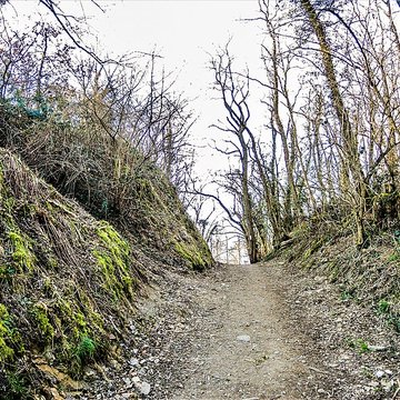 Château dEngelbourg ou lOeil de la Sorcière
