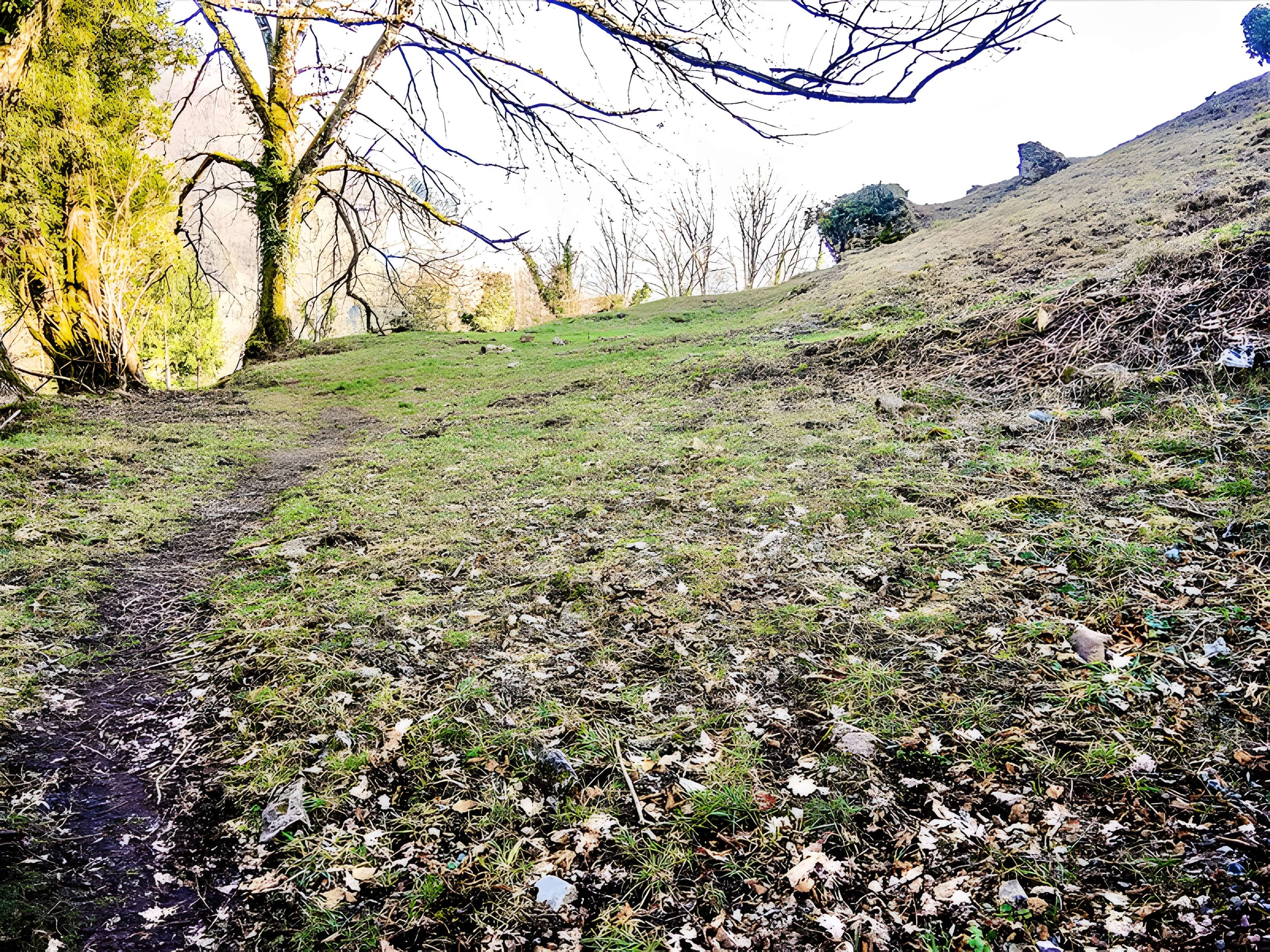 Château d'Engelbourg ou l'Oeil de la Sorcière