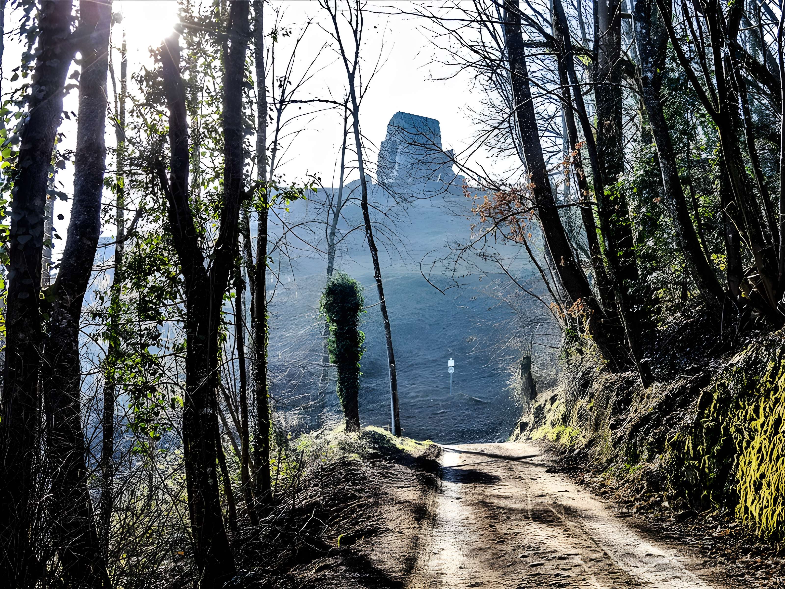 Château d'Engelbourg ou l'Oeil de la Sorcière