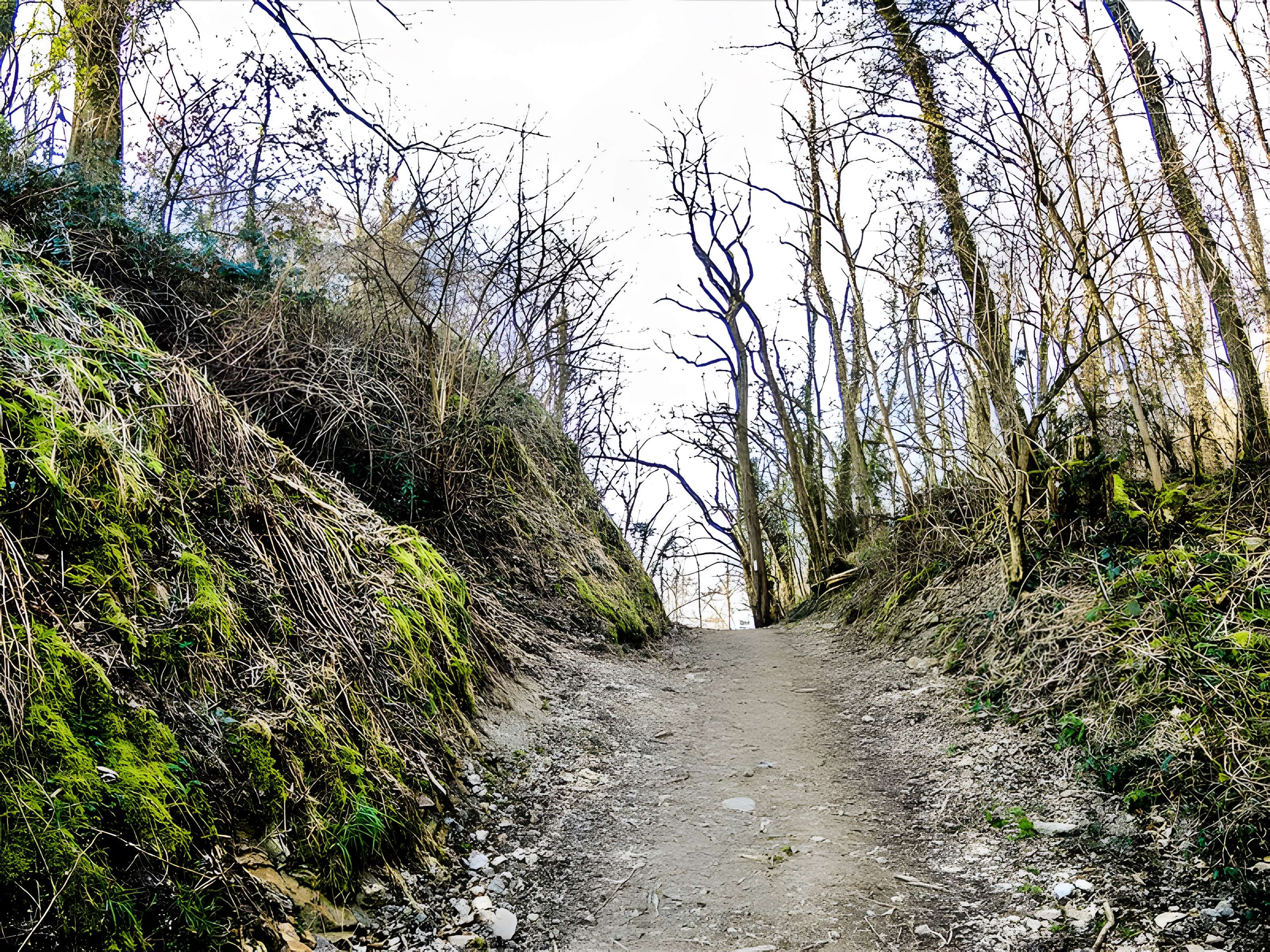 Château d'Engelbourg ou l'Oeil de la Sorcière