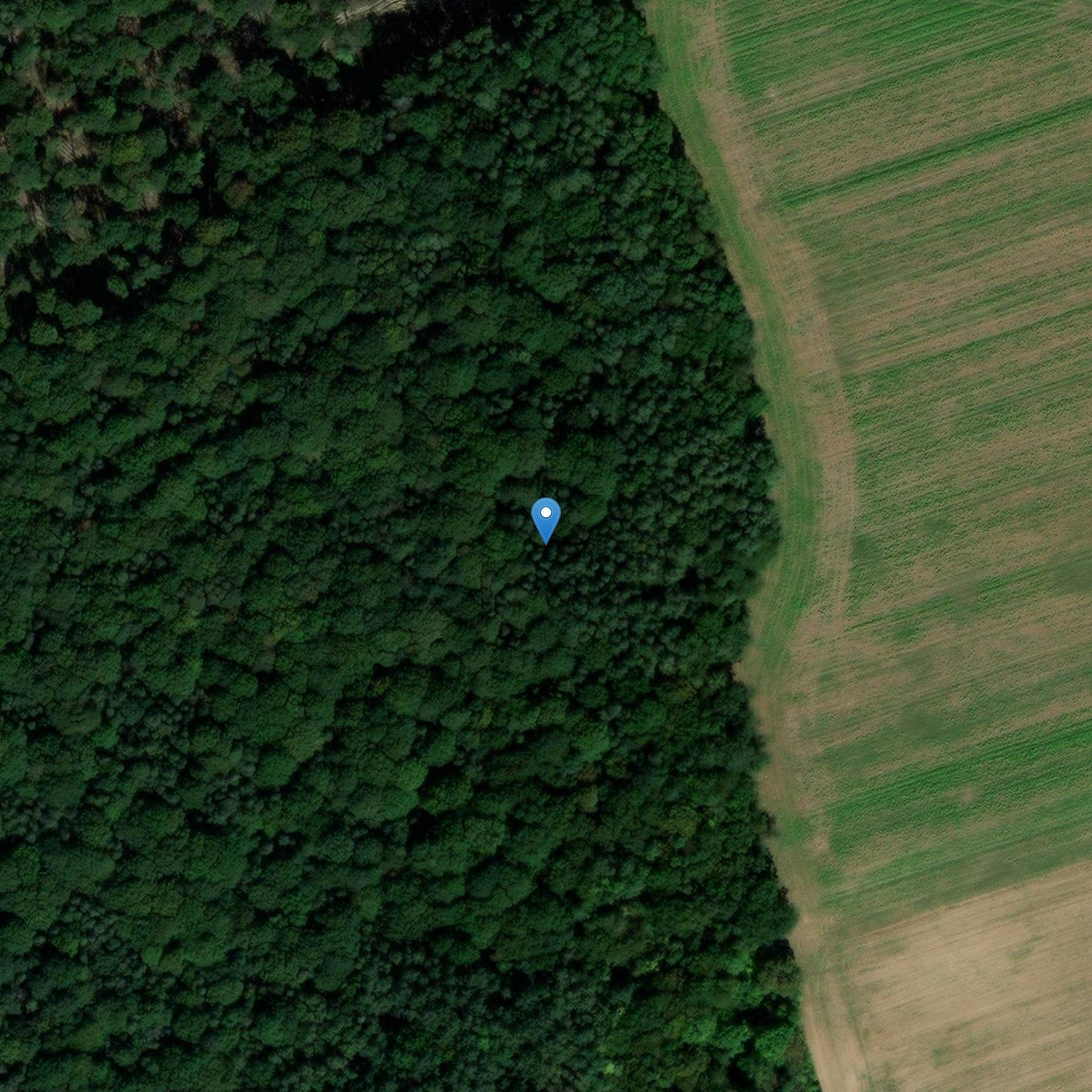 Photo de Kollisionspflege