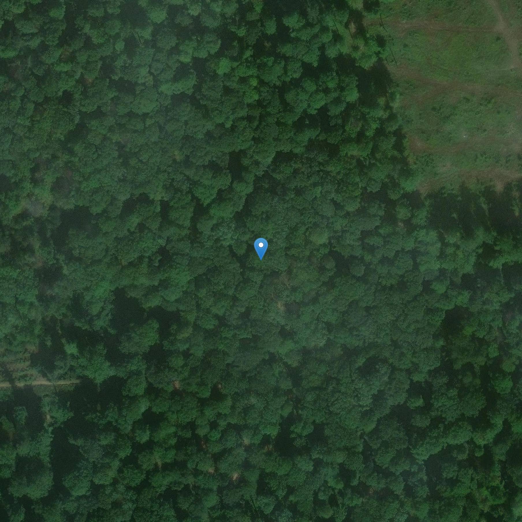 Photo de Menhir zegt La Pierre-Clouise