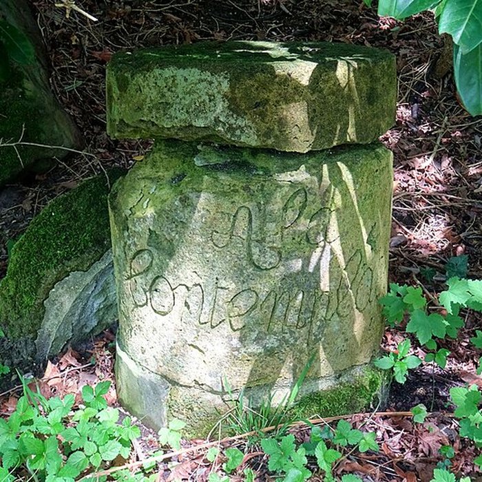 Photo de Château dErmenonville