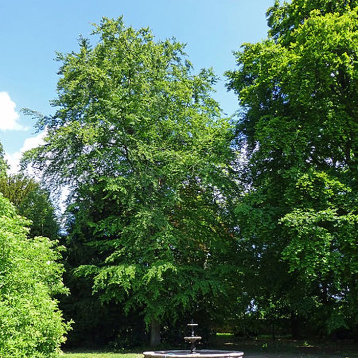 Photo de Château des Capucins