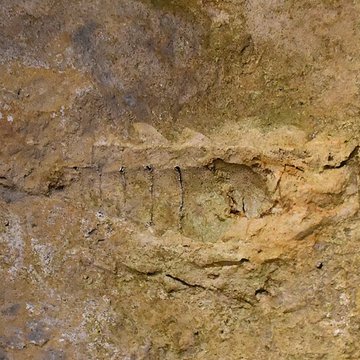 Porte de la Citadelle