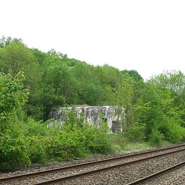 Camp fortifié dit  Wolfschlucht 2  ou  W 2